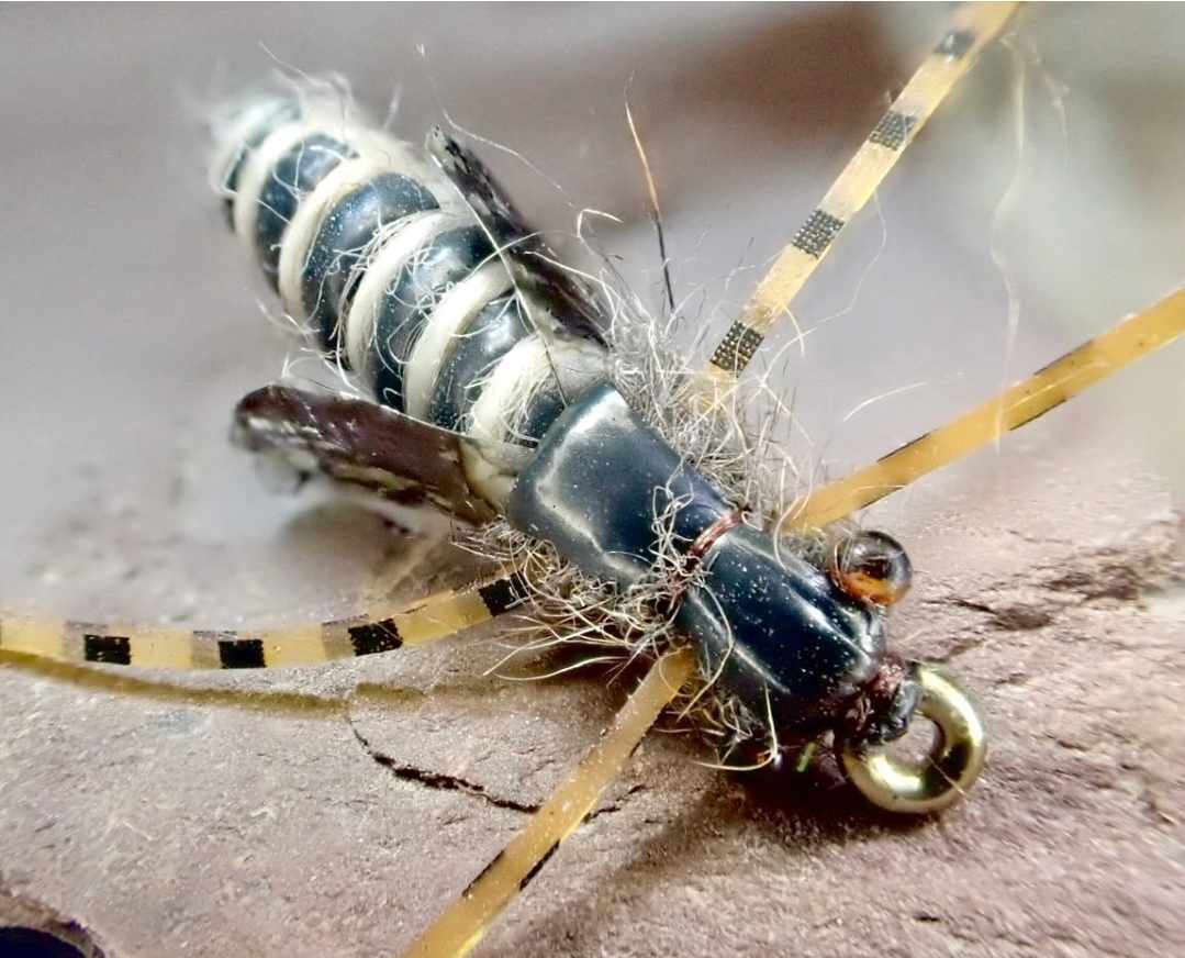 Icelandic Caddis Pupa